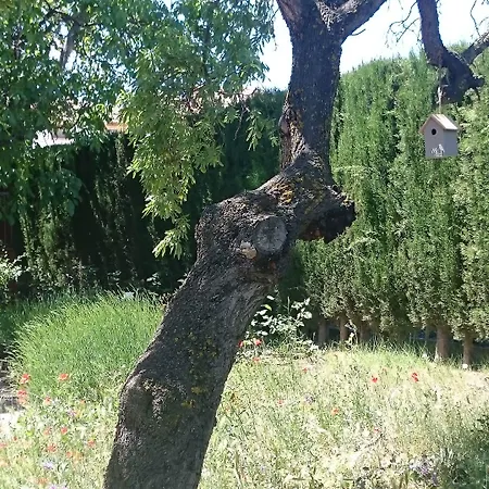 Pensión El Gaiter 3*