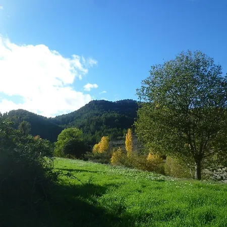 El Gaiter