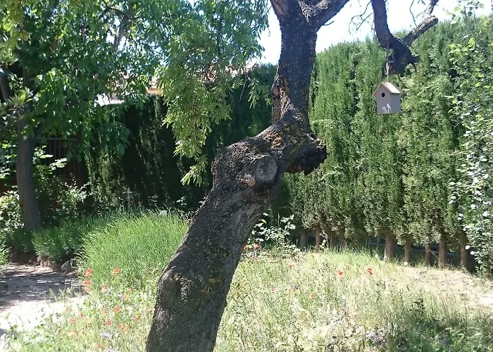 招待所 El Gaiter 3*