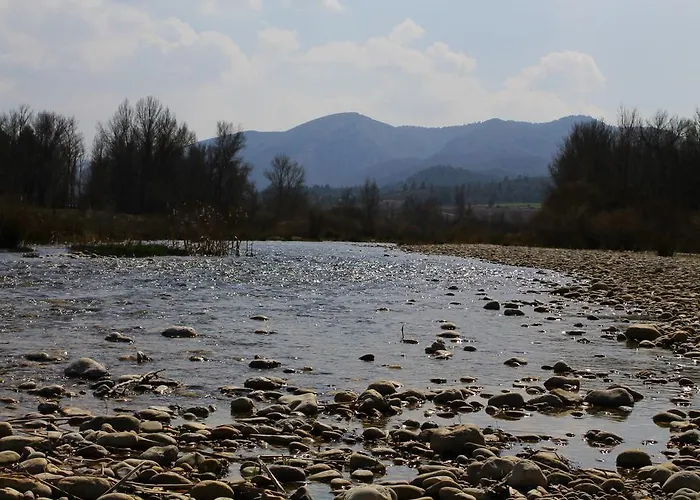 El Gaiter 招待所 3*